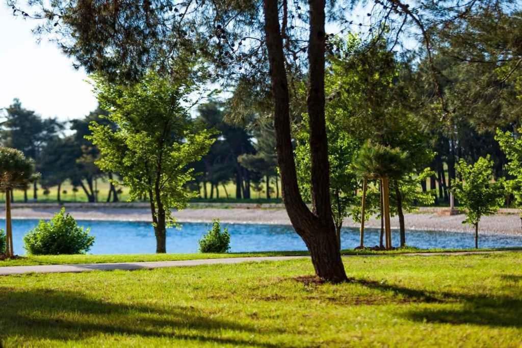 Apartment in Omisalj - Insel Krk 39736 Bagian luar foto